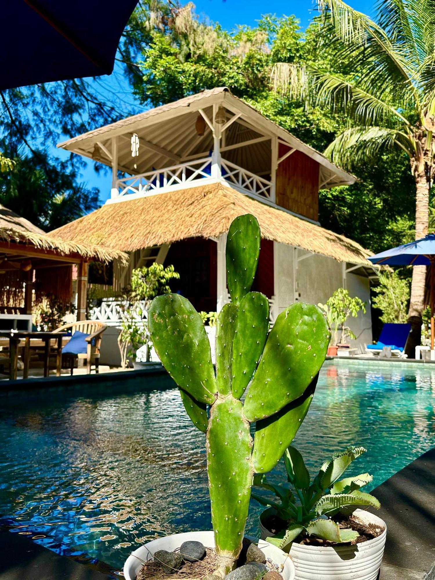 Alibaba Bungalows Gili Air Kültér fotó